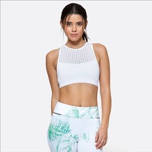 Alala cross back bra